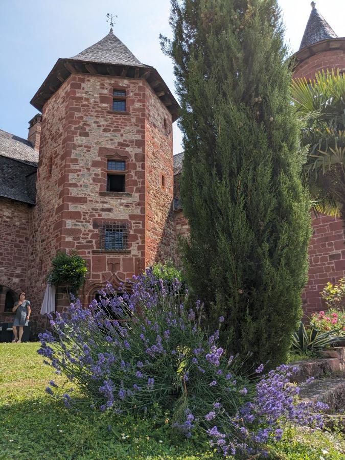 Chateau De Vassinhac Chambres D'Hotes Collonges La Rouge Dış mekan fotoğraf